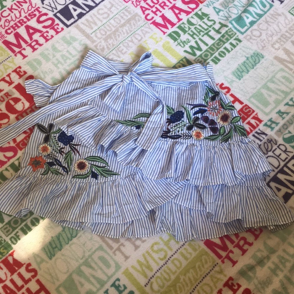 Zara embroidered skirt